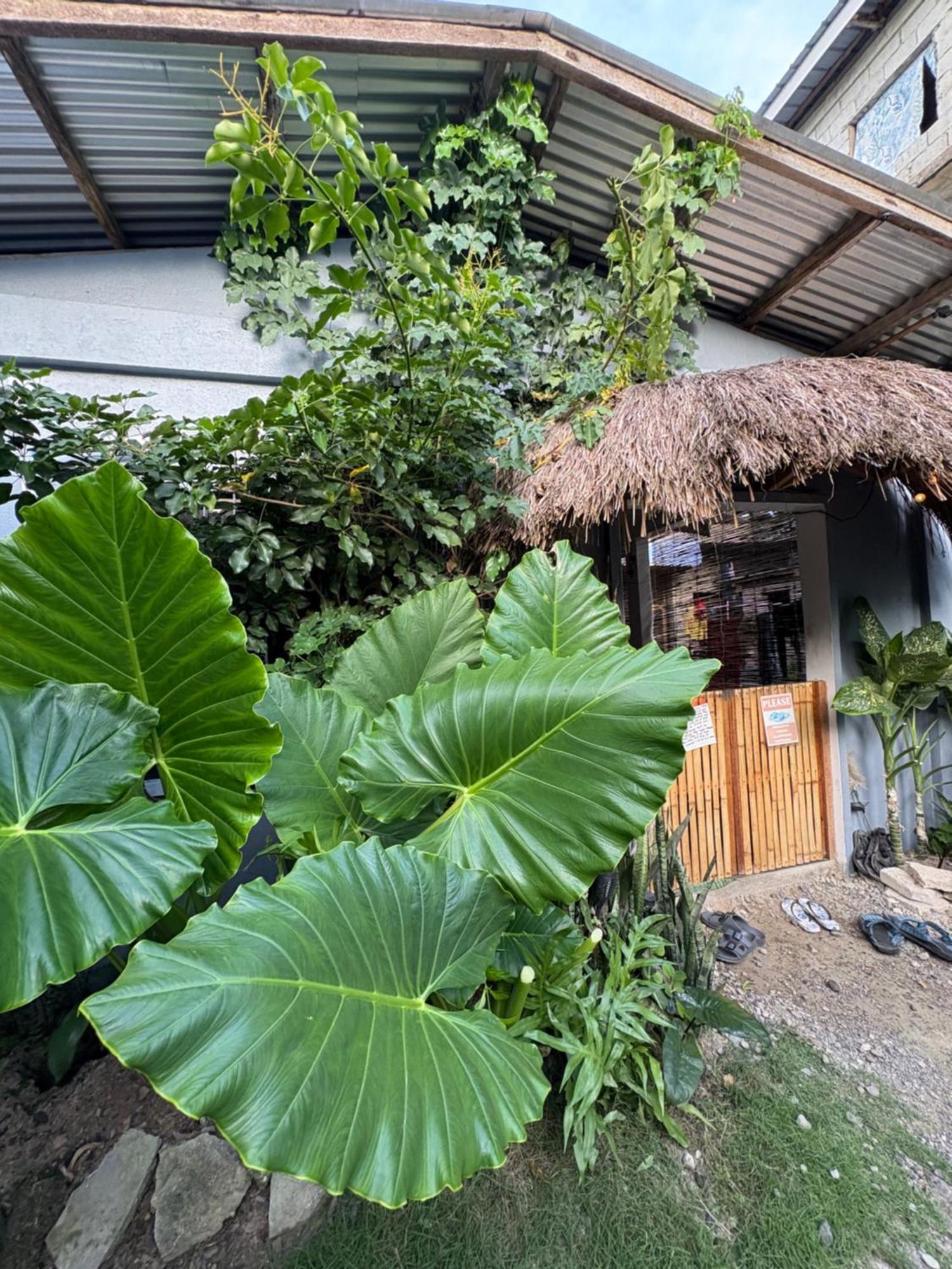 Jaydy Hostel General Luna  Exterior foto